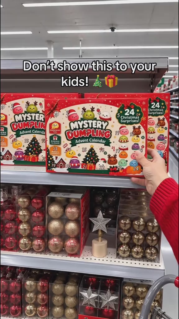 Dumpling mystery advent calendar - 24 days of surprises